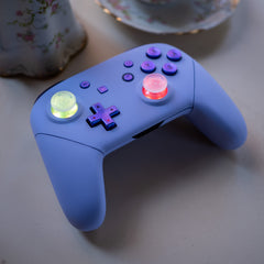 Violet Switch Pro-Controller LED Mod With Chameleon Backlit Buttons