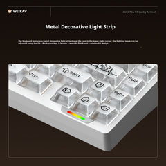 Lucky65 V3 65% Mechanical Keyboard kit