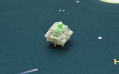 GATERON BABY KANGAROO TACTILE SWITCH (10 PCS)