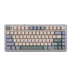 EPOMAKER X AULA F75 (LEOBOG Reaper Switch) + Epomaker Zebra Switch Set Bundle