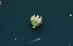 GATERON BABY KANGAROO TACTILE SWITCH (10 PCS)