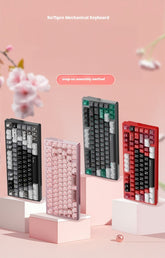 RO75 pro 75% Pre-Built Aluminum Mechanical Keyboard