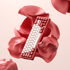 Lucky65 65% Mechanical Keyboard