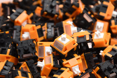 HMX BLACK CAT TACTILE SWITCH FACTORY LUBED (10PCS)