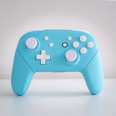 Custom Nintendo Switch Pro Controller In Pastel Blue with White Buttons