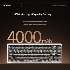 Lucky65 V3 65% Mechanical Keyboard kit