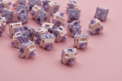 MMD PRINCESS LINEAR V2 SWITCH FACTORY LUBED EDITION (10PCS)