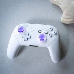 CUSTOM Pro Controller Nintendo SWITCH Controller Mod White on White LED Backlit Buttons