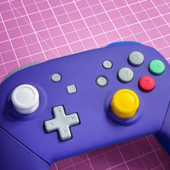 Nintendo Switch Pro Controller Mod GameCube Retro Style Customized Controller