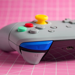 Nintendo Switch Pro Controller Mod Grey GameCube Retro Style Customized Controller