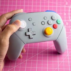 Nintendo Switch Pro Controller Mod Grey GameCube Retro Style Customized Controller