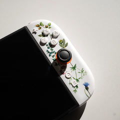 Wild Garden Edition Joy-Cons 2 Floral Switch 2 Controllers