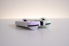 Flowers Vines & Laurels Joy-Cons Mod with White Backlit LED - Nintendo Switch Special Edition Floral Watercolor Custom Controllers