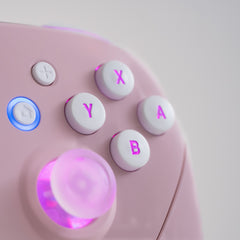 Pink Switch Pro-Controller LED Mod With White Backlit Buttons and Clear Analogue Sticks