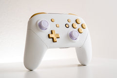 Nintendo Switch Pro Controller Mod White with Brushed Gold Buttons Elegant Minimalistic Customized Controller