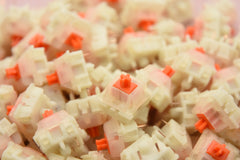 Gateron Plus Linear Switch Factory Lubed/Hand Lubed (10PCS)