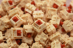 Wingtree BM11 Tactile Switch Factory Lubed (10PCS)