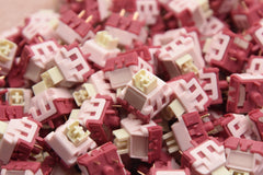 WINGTREE X LICHICX PINK PINK SILENT LINEAR SWITCH FACTORY LUBED (10PCS)