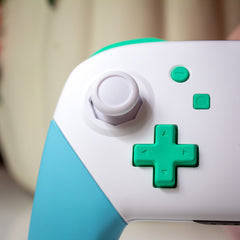 Animal Crossing Custom Nintendo Switch Pro Controller White And Pastel Colors