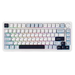 EPOMAKER EA75