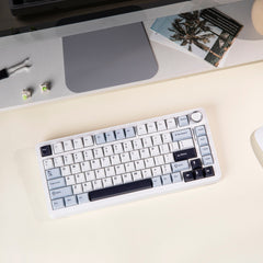 EPOMAKER EA75