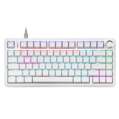 EPOMAKER x AULA F75 Wired