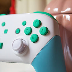 Animal Crossing Custom Nintendo Switch Pro Controller White And Pastel Colors