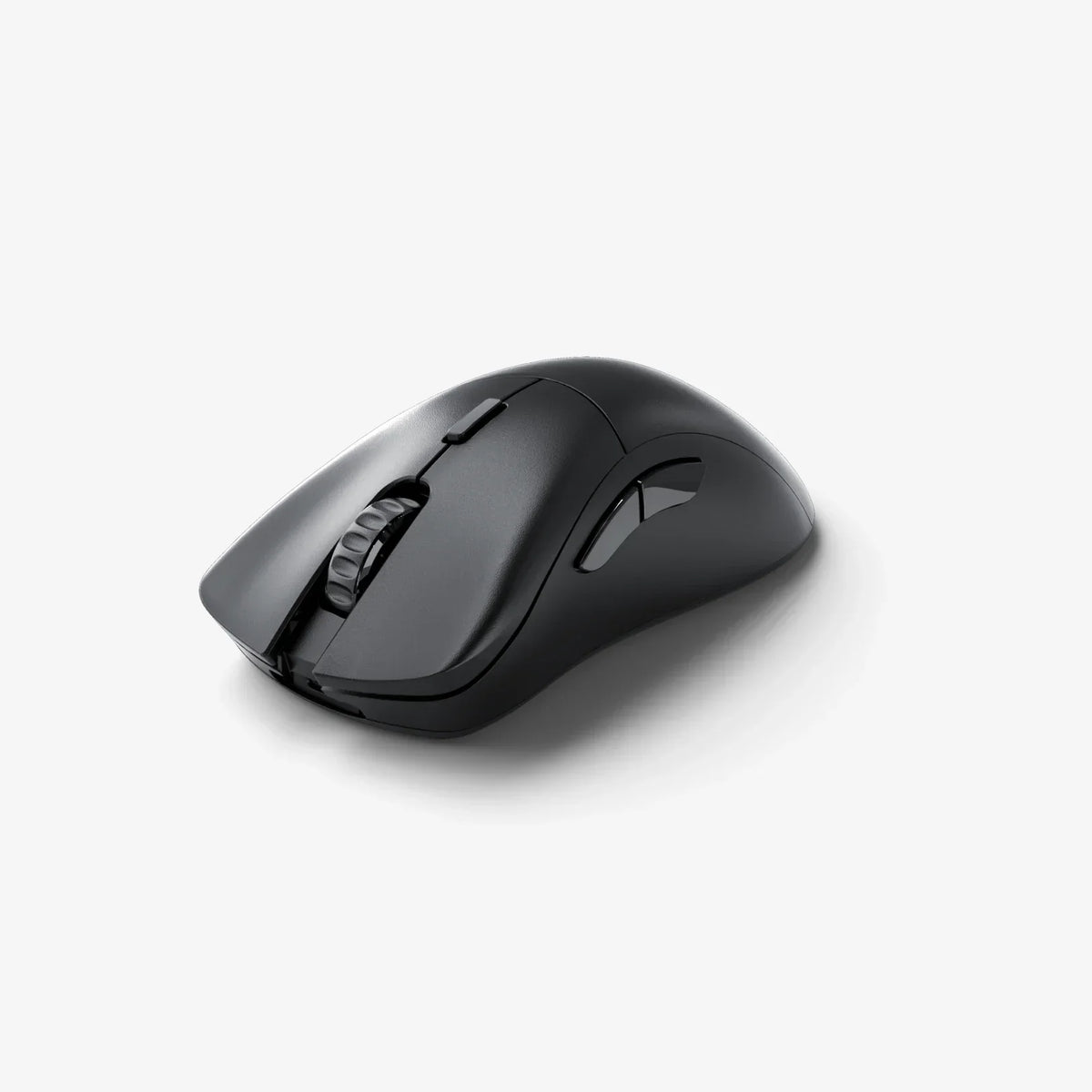 Model D 2 PRO Series Wireless Mouse