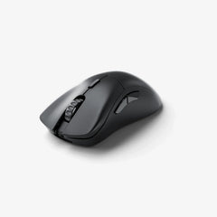 Model D 2 PRO Series Wireless Mouse