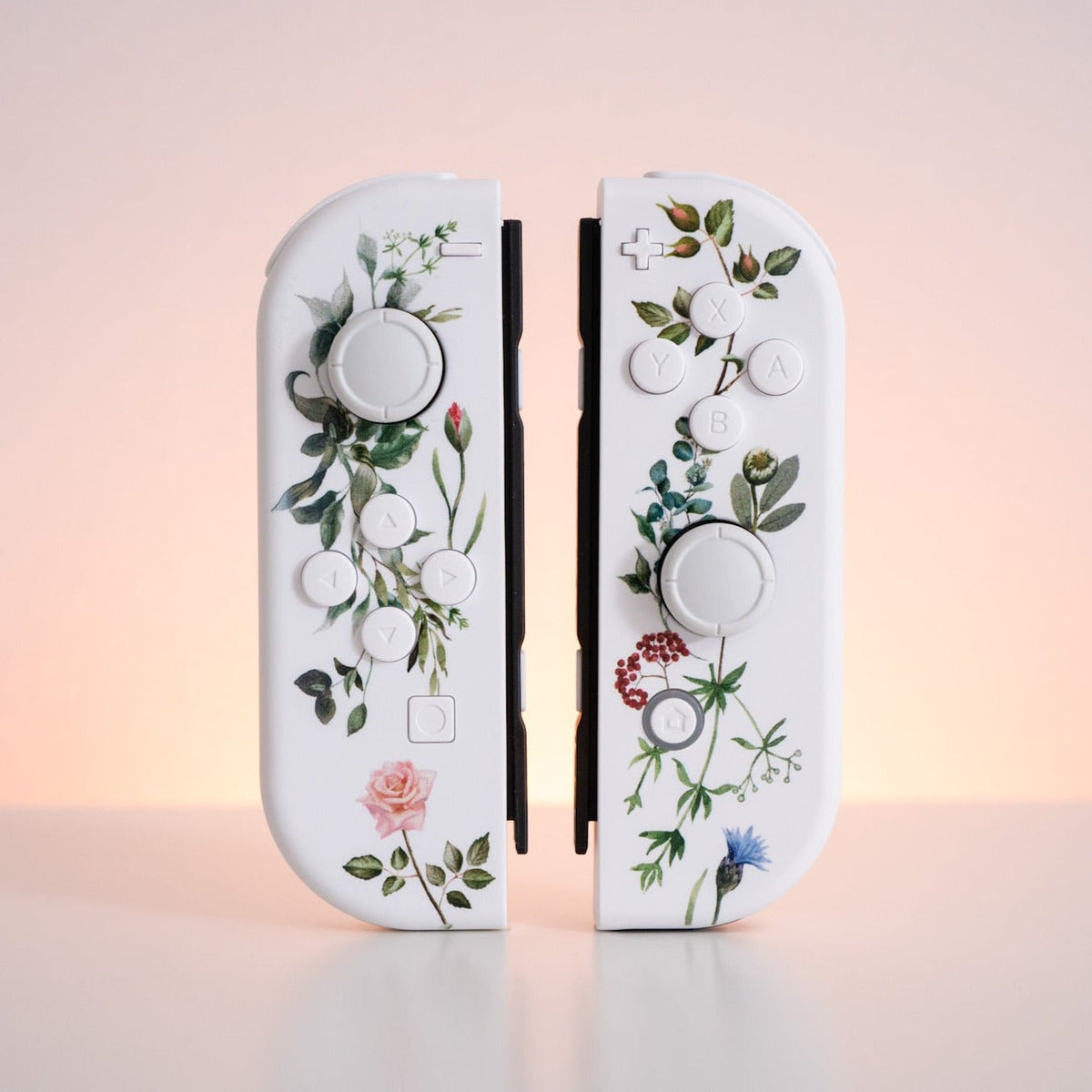 Flowers Vines & Laurels Joy-Cons Mod Nintendo Switch Special Edition Floral Watercolor Custom Controllers
