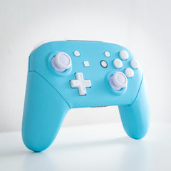 Custom Nintendo Switch Pro Controller In Pastel Blue with White Buttons